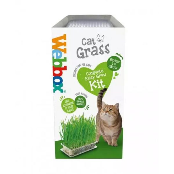 Webbox Cat Grass - Complete Easy Grow Kit