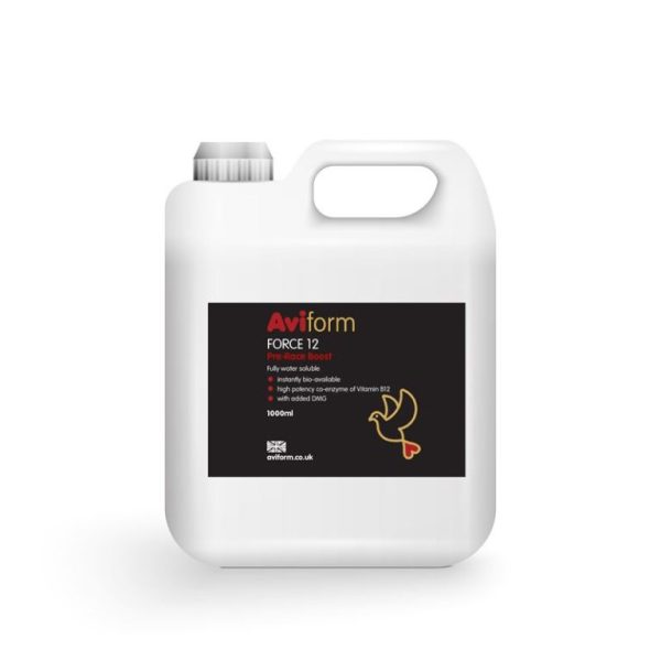 FORCE 12 + DMG Pre Race Booster for Racing Pigeons